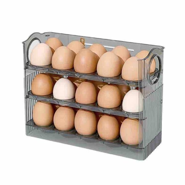 Refrigerator Flippable Egg Holder