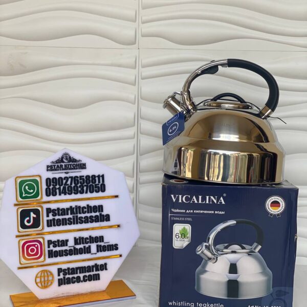 Vicalina 6Ltr Stainless Stove Top kettle
